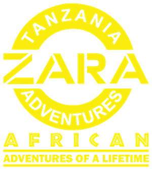Zara Tours