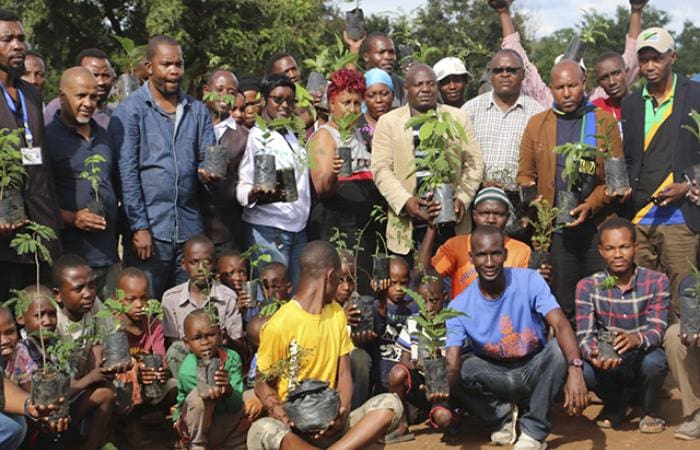 Tree Plantation Zara Tours