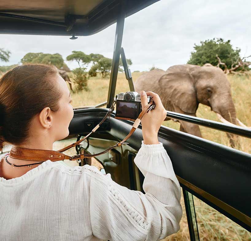 Tanzania Safari Packages