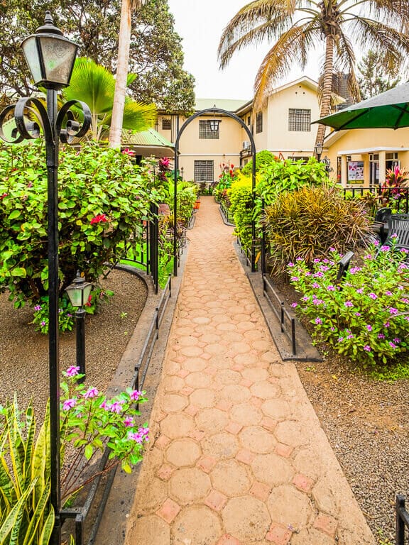 ELEPHANT SAFARI EXPERIENCE