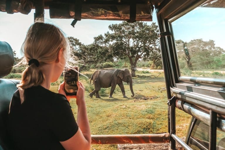 Why a Safari Trip to Tanzania Should Be On Your Bucket List