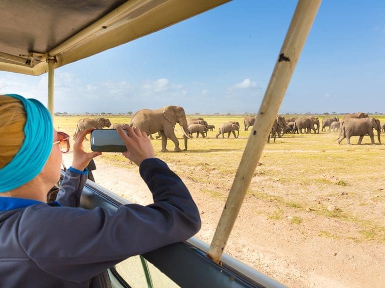 Top African Wildlife Safari Destinations in Tanzania You Can’t Miss