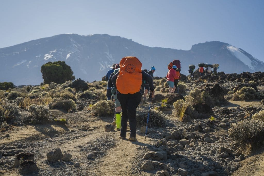 There are seven official routes for climbing Mount Kilimanjaro.
