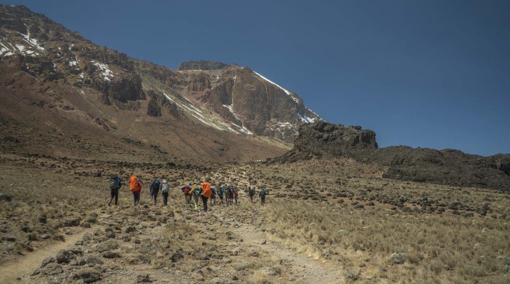 Trekkers hiking through Mount Kilimanjaro’s high alpine desert zone, surrounded by rocky terrain and towering volcanic slopes under a clear blue sky.
