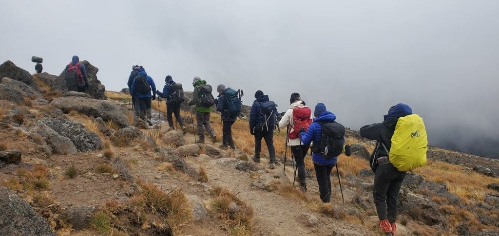 A group of trekkers climbing kilimanjaro in alpine desert zone