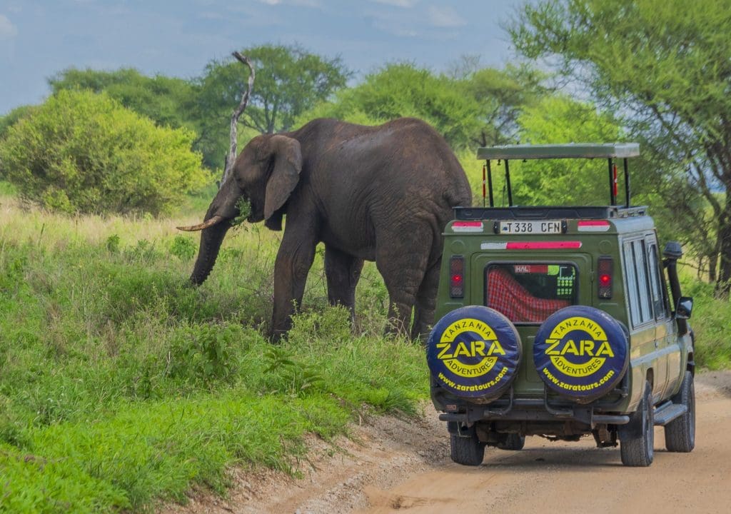 The best places to visit in Tanzania depend on an individual’s choice