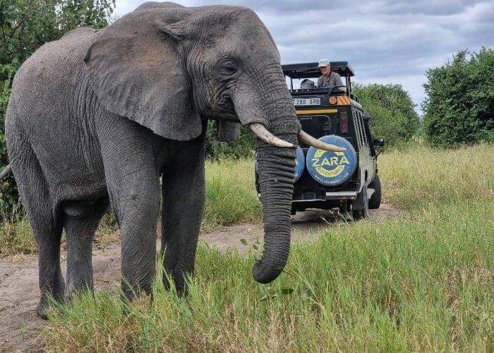 285313679_10161997948536110_1963992736578871002_n