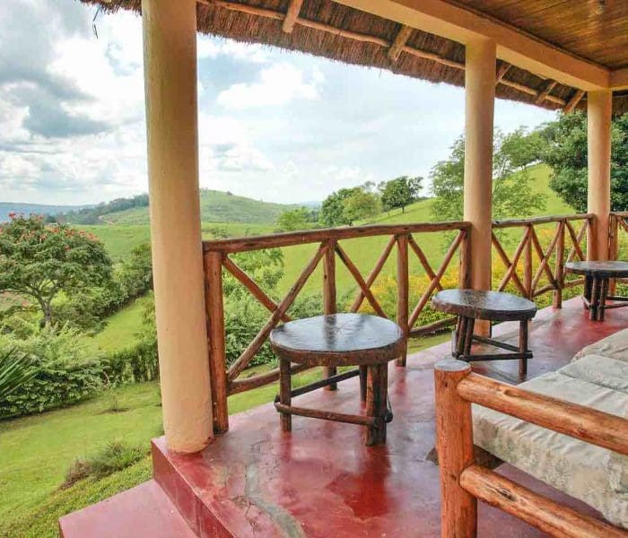 Chimpanzee Forest Lodge2