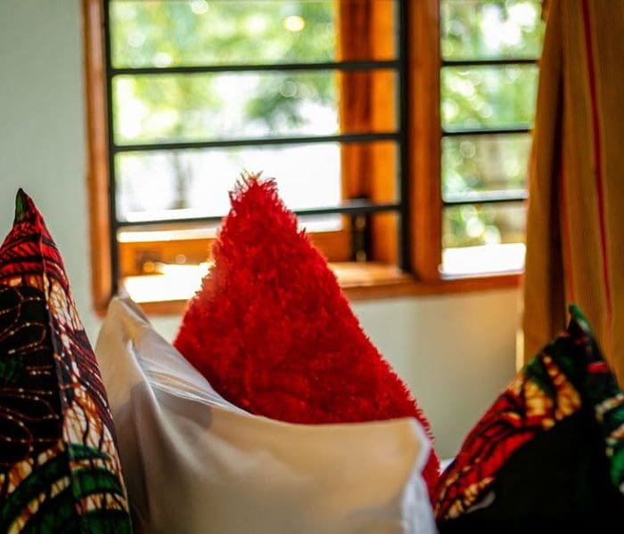 Chimpanzee Forest Lodge5