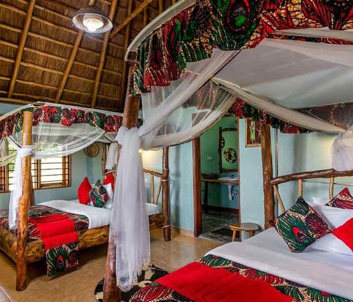 Chimpanzee Forest Lodge6