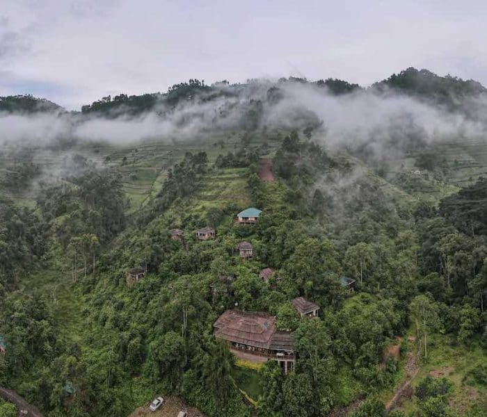 Four Gorillas Lodge2