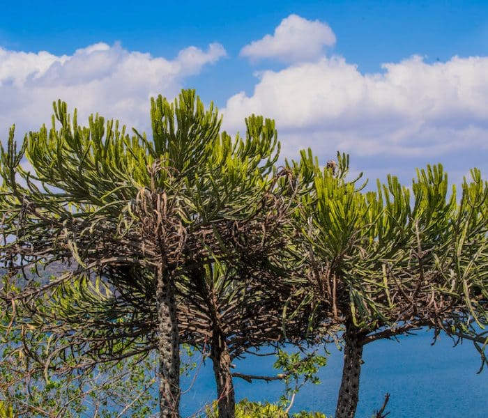 LAKE CHALA day trip_9