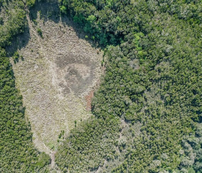 Mandara hut day trip_18