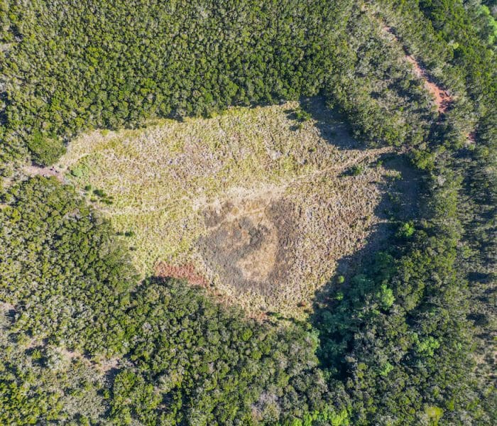 Mandara hut day trip_21