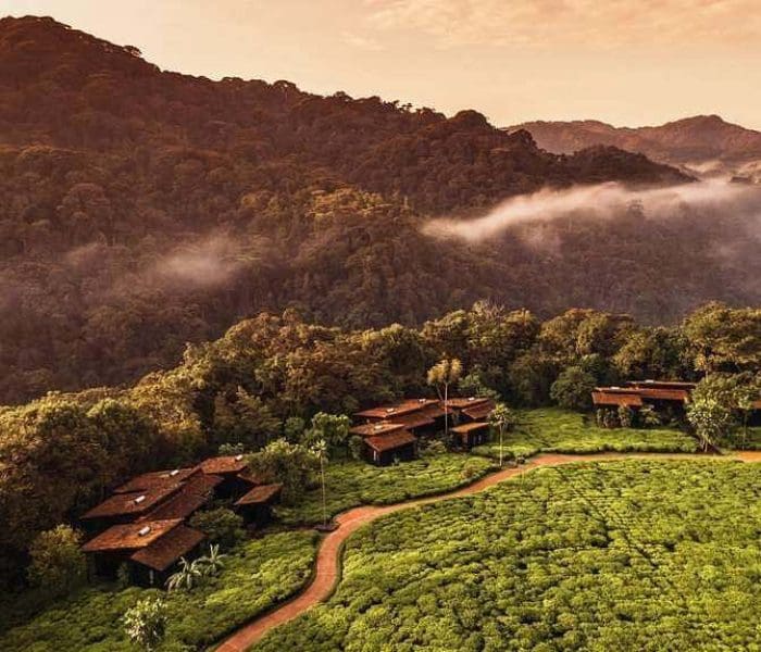 One & Only Nyungwe House