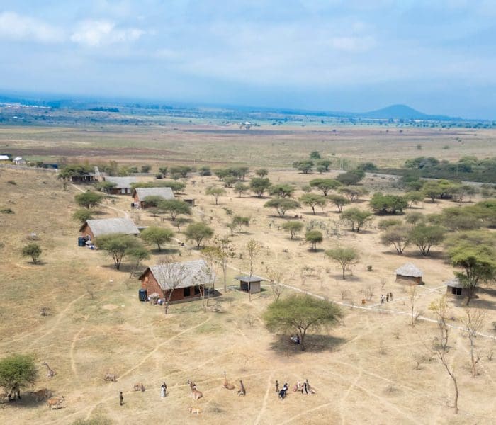 Serval wildlife day trip_46